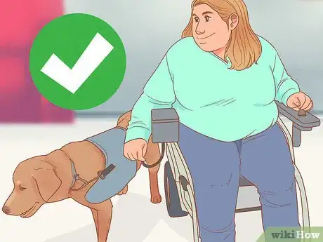 Image titled Get a Service Dog Step 15