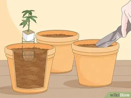 Image titled Clone Cannabis Step 11