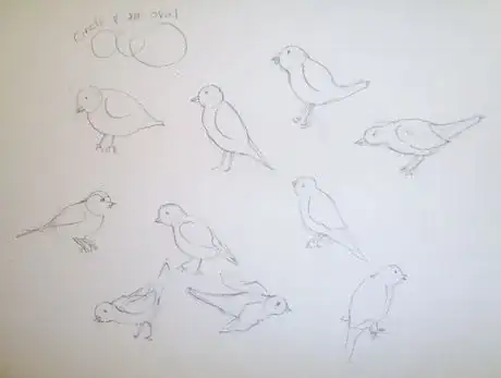 Image titled Drawsomebirds