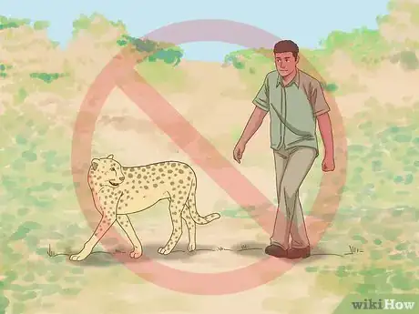 Image titled Survive a Cheetah Attack Step 6