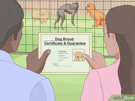 Image titled Report an Unethical Dog Breeder Step 10