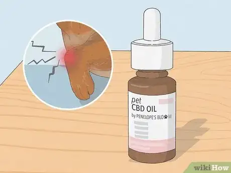 Image titled Best CBD Oil for Dogs Step 14