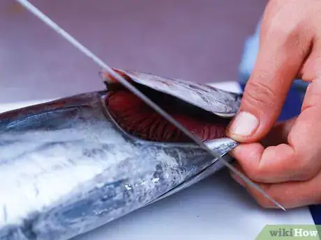 Image titled Cut Tuna Steaks Step 2