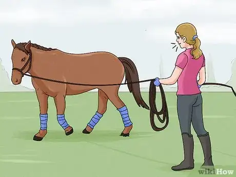 Image titled Lunge a Horse Step 8