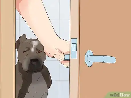 Image titled Bathe Your Pitbull Step 8