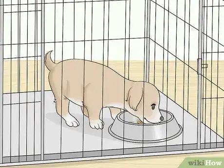 Image titled Crate Train a Puppy During the Day Step 19