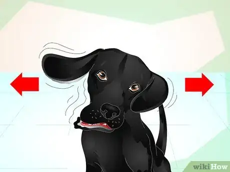 Image titled Deliver Ear Medication to Dogs Step 2