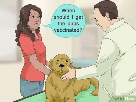 Image titled Take a Mother Dog to a Postnatal Veterinary Exam Step 13