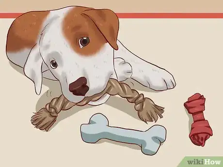 Image titled Train Puppies Step 10