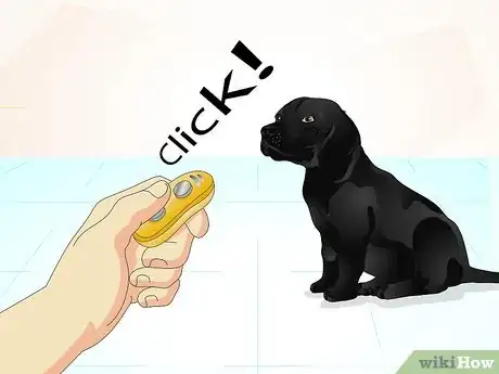 Image titled Train a Naughty Labrador Step 10