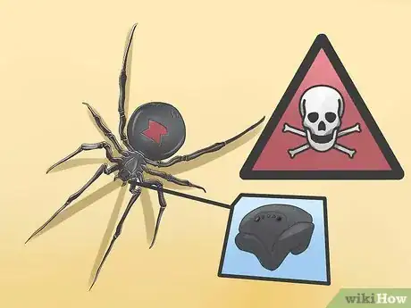 Image titled Get Rid of Black Widow Spiders Step 3