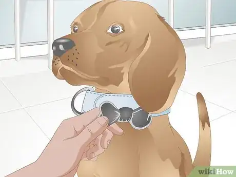 Image titled Make a Dog Collar Step 10