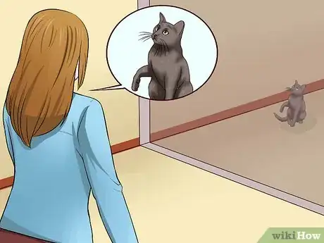 Image titled Teach a Cat to Recognize Its Name Step 7