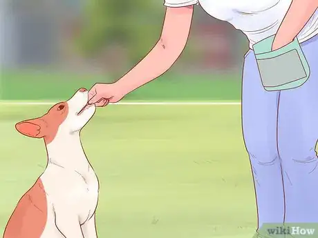 Image titled Get a Dog to Stop Whining Step 10