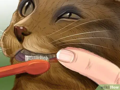 Image titled Stop Your Cat from Drooling Step 4