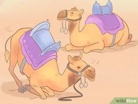 Image titled Buy a Camel Step 10