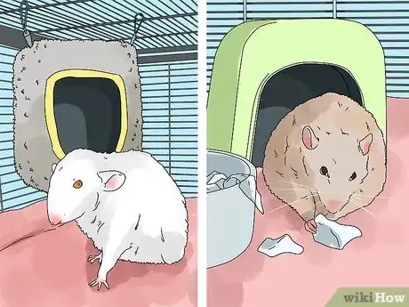 Image titled Introduce a New Pet Rat to Another Rat Step 4