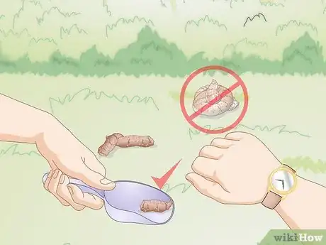 Image titled Get a Fecal Sample from Your Dog Step 5