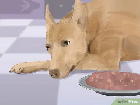 Image titled Recognize Fear in Dogs Step 10