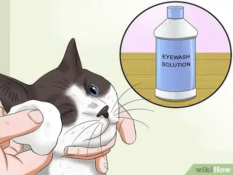 Image titled Give Your Cat Eye Drops Step 4