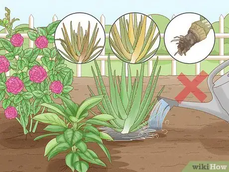 Image titled Choose the Best Time for Watering a Garden Step 7