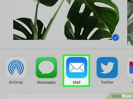 Image titled Attach Photos and Videos to Emails on an iPhone or iPad Step 14