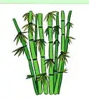 Draw Bamboo