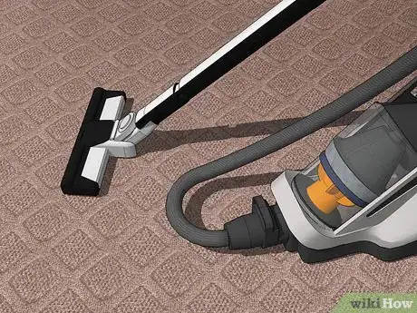 Image titled Clean Stainmaster Carpet Step 1