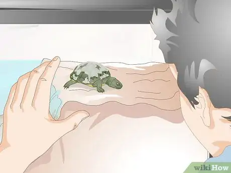 Image titled Keep a Turtle Healthy Step 7