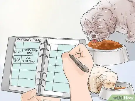 Image titled Feed Your Shih Tzu Step 5