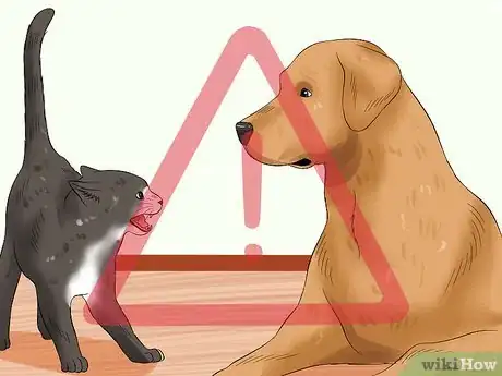 Image titled Introduce an Older Cat to a New Dog Step 8