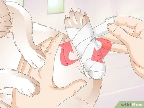 Image titled Diagnose Sore Hocks in Rabbits Step 7