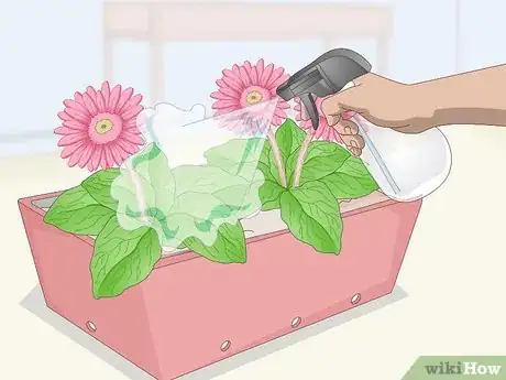 Image titled Grow Gerbera Daisies Step 19