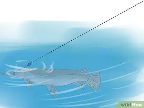 Image titled Fish for Alligator Gar Step 11