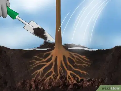 Image titled Plant Fruit Trees Step 10