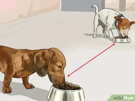 Image titled Dog‐Sit when You Have Your Own Dog Step 8