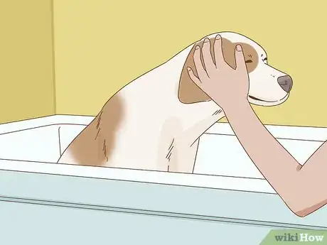 Image titled Wash a Dog Afraid of Water Step 2