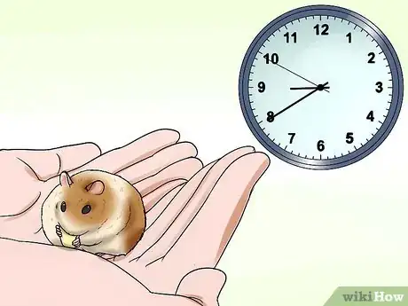 Image titled Handle a Hamster Without Being Bitten Step 9