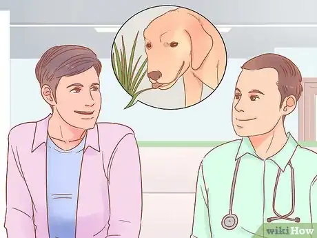 Image titled Stop Your Dog from Eating Grass Step 12