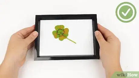 Image titled Preserve Four Leaf Clovers Step 20