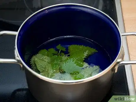 Image titled Make Nettle Tea Step 8