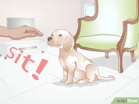 Image titled Stop a Dog from Licking Everything Step 2