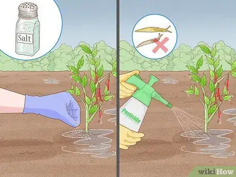 Image titled Protect Crops from Heavy Rain Step 15