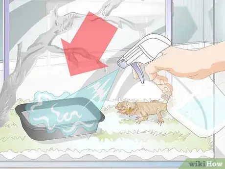 Image titled Teach a Bearded Dragon to Drink from a Water Bowl Step 7