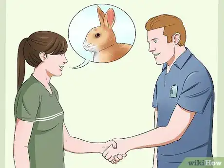 Image titled Buy a Rabbit Step 3