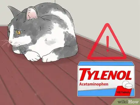 Image titled Treat Acetaminophen Toxicity in Cats Step 5