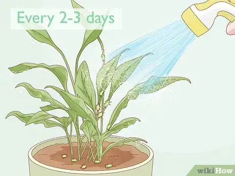 Image titled Keep Aphids Away Using Eco Friendly Methods Step 3