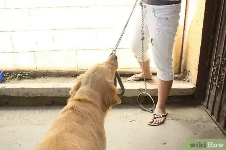 Image titled Control Your Dog's Behavior by Becoming Pack Leader Step 1