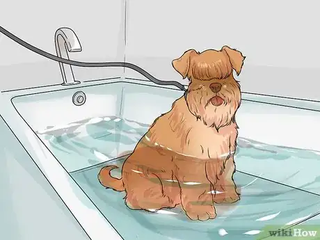 Image titled Bathe a Schnauzer Step 6