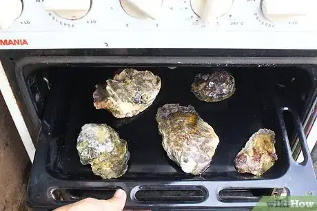 Image titled Prepare Oyster Shells for Chickens Step 2